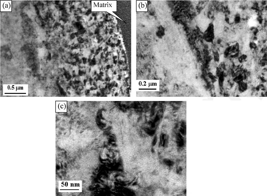 278 L. Ma / Micron 35 (2004) 273 279 Fig. 7. TEM photograph of b phase in as-produced and isothermally exposed sample prepared by FIB.