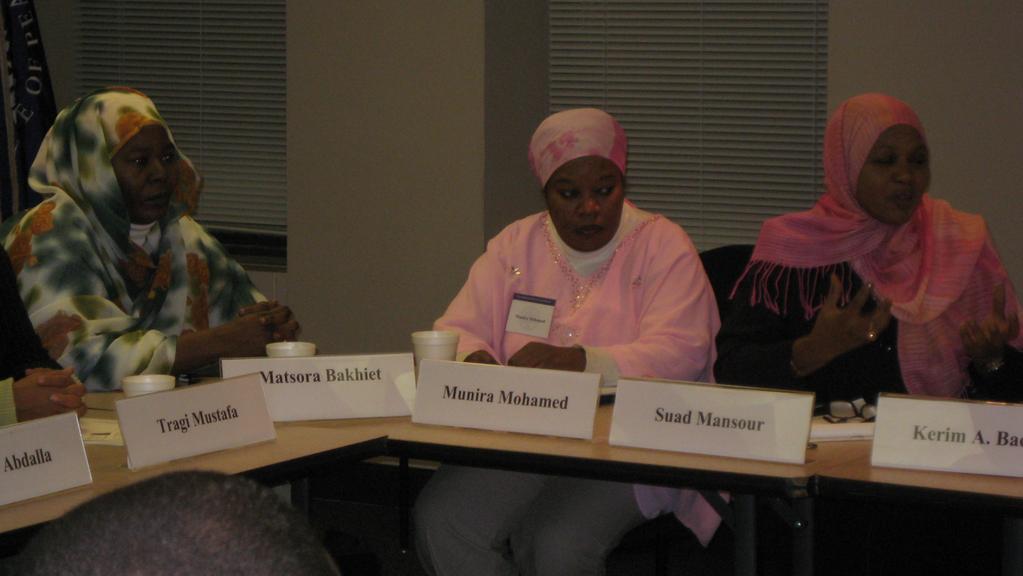 various interest groups in Darfur, encourage parties in Darfur to negotiate for peace, bring the voice of Darfurian civilians to international communities and negotiations, and offer practical