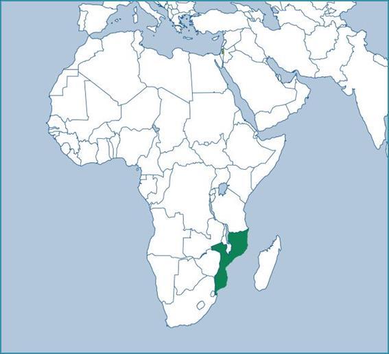 COUNTRY CONTEXT Mozambique is on the south-east coast Africa and covers a territorial area of 801,590 square kilometres and has a population of over 25 million. Annual temperature has increased by 0.