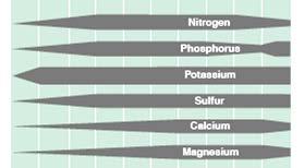 ph affects soil nutrient