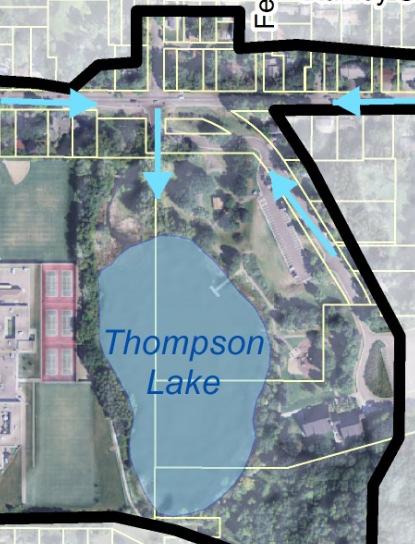 Thompson Lake- aquatic