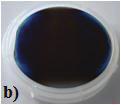 The aim of this work is to develop an AP-PECVD reactor useful for crystalline silicon cell processing.
