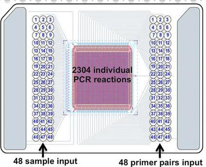 PCR-based Target Enrichment Target Enrichment by Microfluidics Multiple samples and Primer sets are processed in