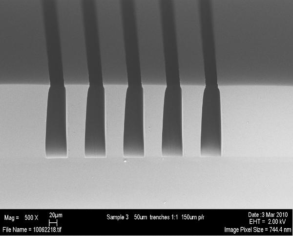 This structure type has a slight T-topping due to overexposure of the negative photoresist, resulting in a slightly reduced width of ~ 40 µm at the top of each trench.