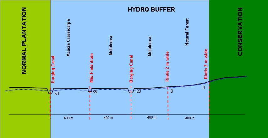 Eco-Hydrology Buffers Function: Buffer 0 cm water depth in Conservation Core from 50 cm water depth in plantation Location: on the slope edge of bog plain, not inside the zone flatter than 2.