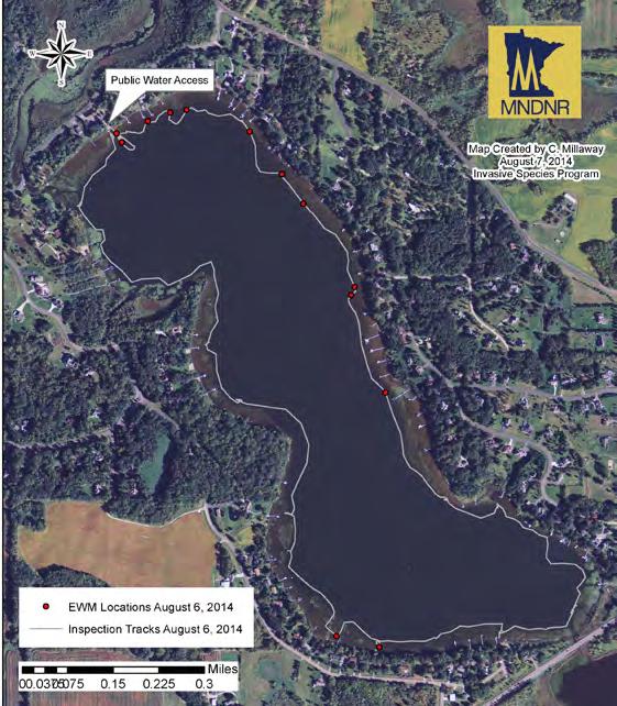 Management Options for Eurasian Watermilfoil Scouting Activities: When observers are on the lake they could be looking for any sign of milfoil growth.