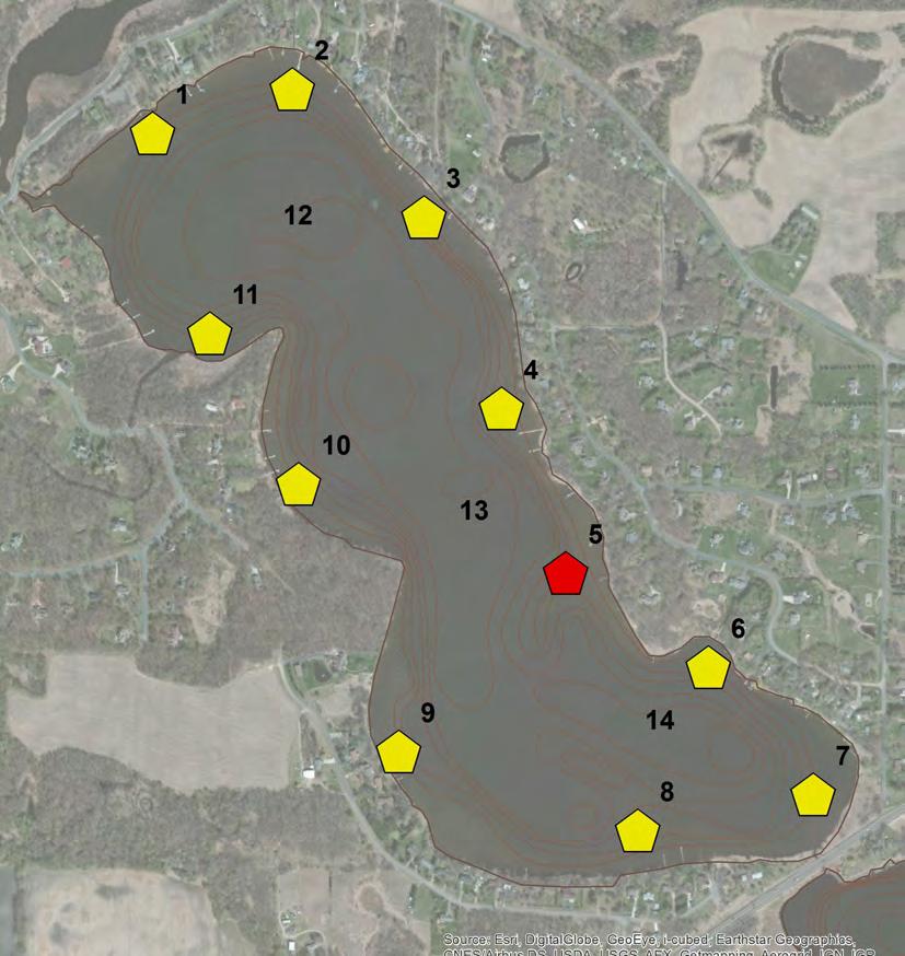 2. Curlyleaf Pondweed Figure S2. Curlyleaf potential growth based on lake sediment analyses for Comfort Lake. Key for Potential Growth: Yellow = moderate growth and red = heavy growth.