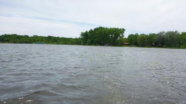 Aquatic Invasive Species Action Plan for Comfort Lake, Chisago County, Minnesota Introduction Comfort Lake is a 218 acre lake (90 littoral acres, maximum depth is 47 feet)(source: MnDNR) in Chisago