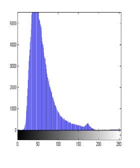 intensity distribution is a