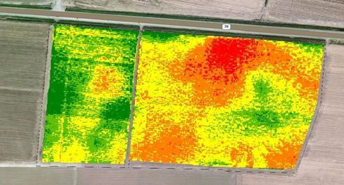 Farmer s Standard Practice Optical sensor/vrt Crop Age Texture N Rate, lbs/ac Estimated yield potential using SENSOR READINGS Plant
