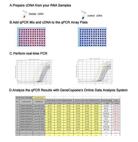 ExProfile TM Gene User Manual Convenient data analysis Developed specially for ExProfile arrays, a data analysis tool is