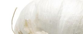 pressure on limited garlic supplies.