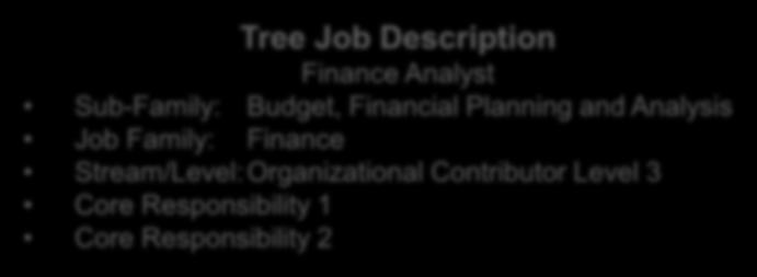 A Core Responsibility 1 Core Responsibility 2 Additional Responsibility A Branch Job Description Analyst B Core Responsibility 1 Core Responsibility 2