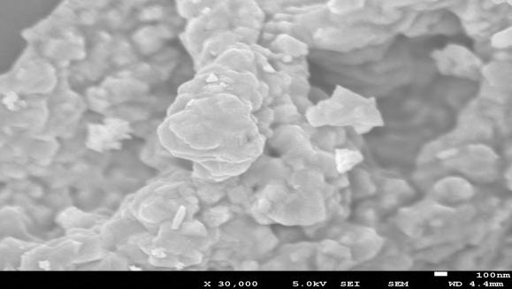 SEM images of the un-substituted and Mg-substituted samples have been shown in Fig. 2. The samples in powder form revealed spherically formed and densely connected grains forming agglomerations.