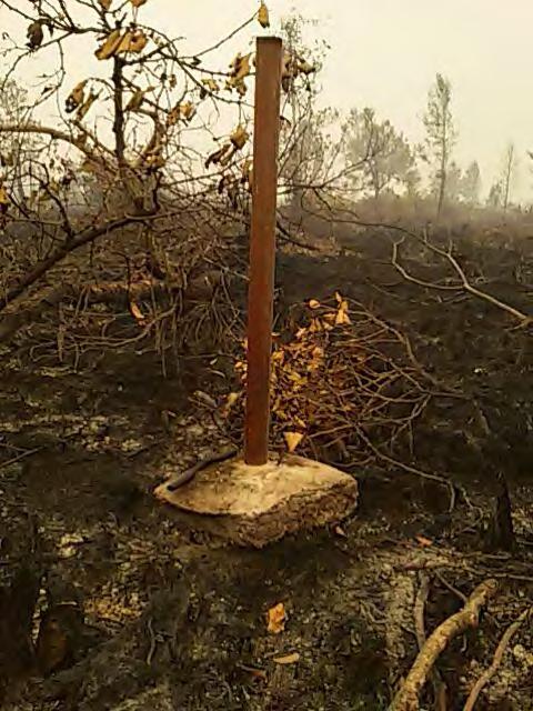 Degraded peatland is a subscriber of peat fire 60 cm deep