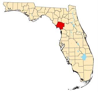 1. County Overview Geography and Jurisdictions Levy County is located along the western coast of North-Central Florida.