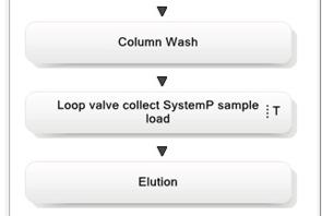 Description of the user defined phase in method one User defined phase: Loop valve collect / Watch instructions Note: The phase in this example has been designed for sample loading using the System