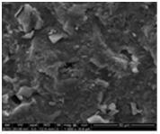 SEM photographs of the samples revealed that the microspheres were rough, porous and almost spherical in shape. SEM photographs of microspheres were shown in Figure 1.