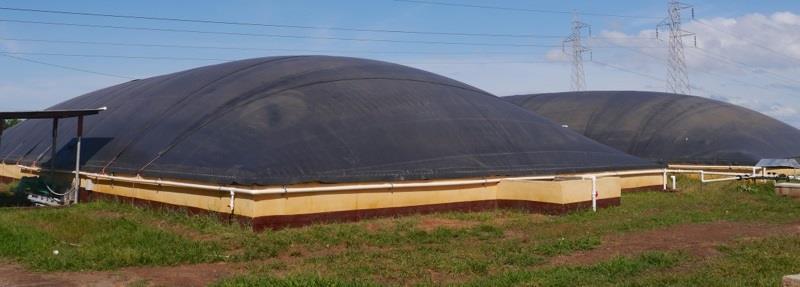 Large-scale Wet-Anaerobic Digestion Animal and liquid wastes TS content
