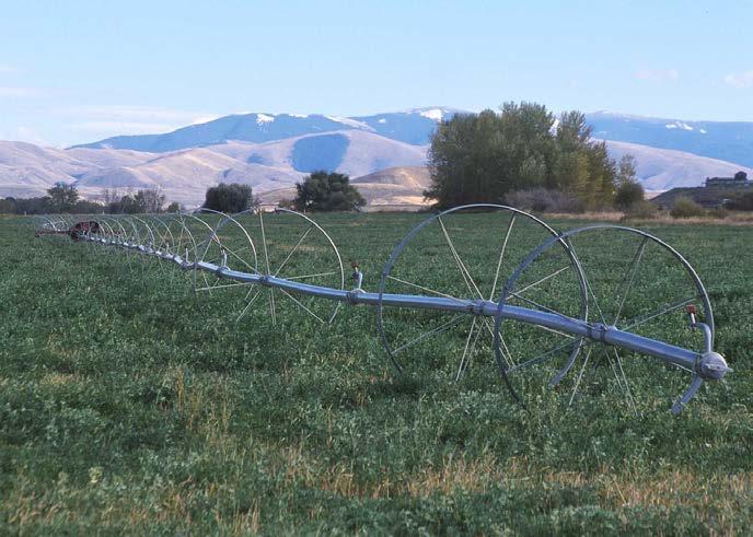 Western Slope agriculture Water may be Western Slope agriculture s competitive advantage Isolation, limited