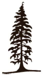 They are listed in generally declining suitability for retention. Coniferous Trees WESTERN RED CEDAR (High) Thuja plicata Identification: Grows to 40 m. Scalelike leaves.