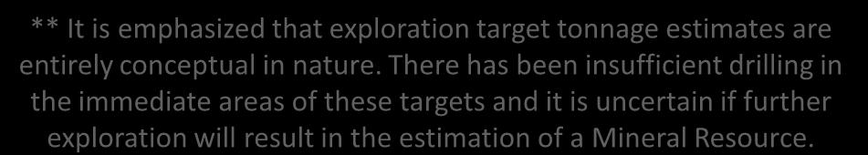 exploration targets And established