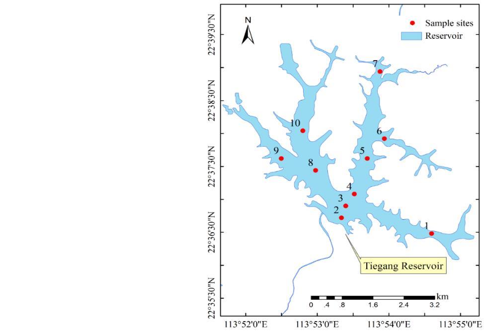 a c b Fig.1 Sampling sites at Tiegang Reservoir.. Sampling and analysis The samples were collected using a ZPY-1 water collector and stored separately.