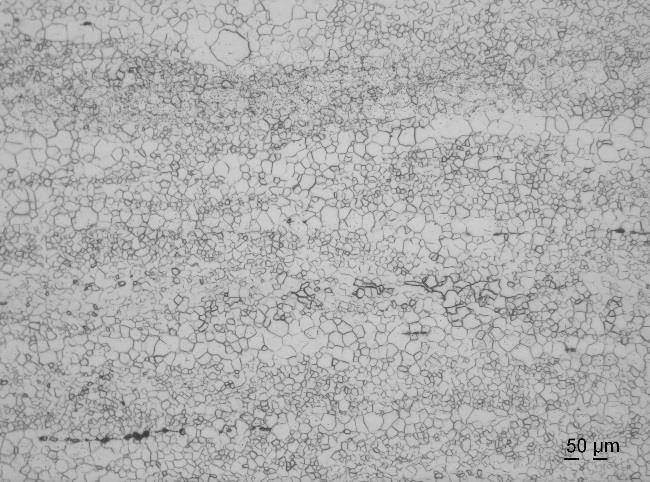 particles along the rolling direction can also be clearly observed in these micrographs. Etched Magnification: 200 Magnification: 500 Fig.