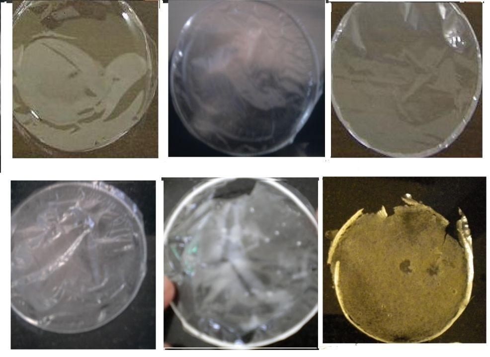 Ravneet Kaur,, 2012: Volume1 (2):94-101 HPMC E5 3% w/v HPMC K100 2% w/v PVA 3% w/v PVP 4% w/v Gelatin 4% w/v HPMC E5 + xanthan gum Figure 1. Pictures of FDFs prepared with different polymers.