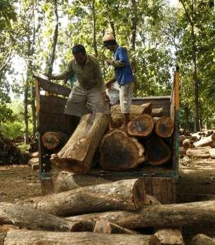II. Maintaining forest goods & services in multifunctional & dynamic landscapes