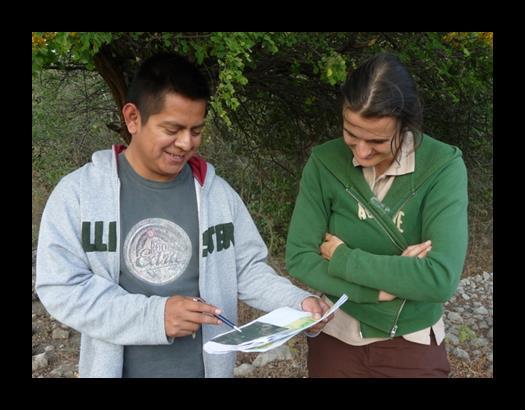 Core users in the preoperational phase Ministry of Environment and Natural History, State Government Chiapas, Mexico Forestry Development Juarez University of Durango State, Mexico CONAFOR National