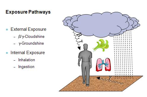 possibilities. Additionally, the different exposure pathways (internal and external exposure) had to be addressed by the GRS websites (see e.g. Figure 3).