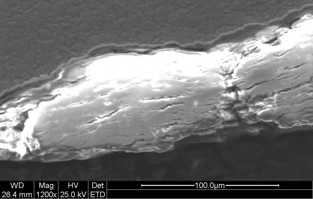 Fig. 2.11d Enlarged view of lenticular shape of the nodules showed presence of cracks parallel to metal oxide interface.