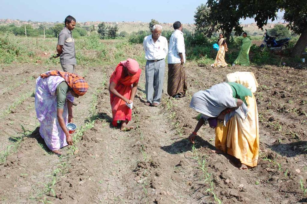 Method demonstration on sowing
