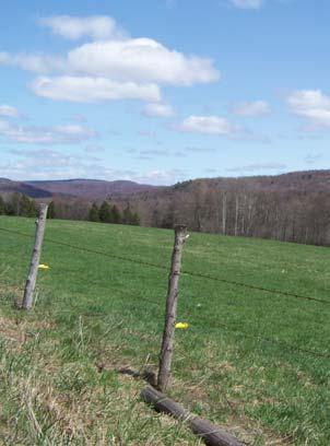 Policy Area I Open Space and Natural Resource Management Goal: Maintain the County s valuable farmland in active agricultural use while creating and promoting land use planning and zoning incentives
