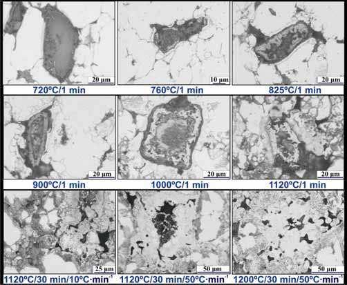 The Sintering Behaviour of Fe-Mn-C Powder System, Correlation between Thermodynamics and Sintering Process, Manganese Distribution and Microstructure Composition, Effect of Alloying Mode 583 areas