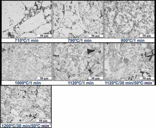 The Sintering Behaviour of Fe-Mn-C Powder System, Correlation between Thermodynamics and Sintering Process, Manganese Distribution and Microstructure Composition, Effect of Alloying Mode 585 consists