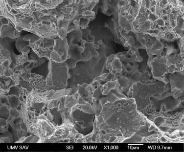 The Sintering Behaviour of Fe-Mn-C Powder System, Correlation between Thermodynamics and Sintering Process, Manganese Distribution and Microstructure Composition, Effect of Alloying Mode 595 Due to