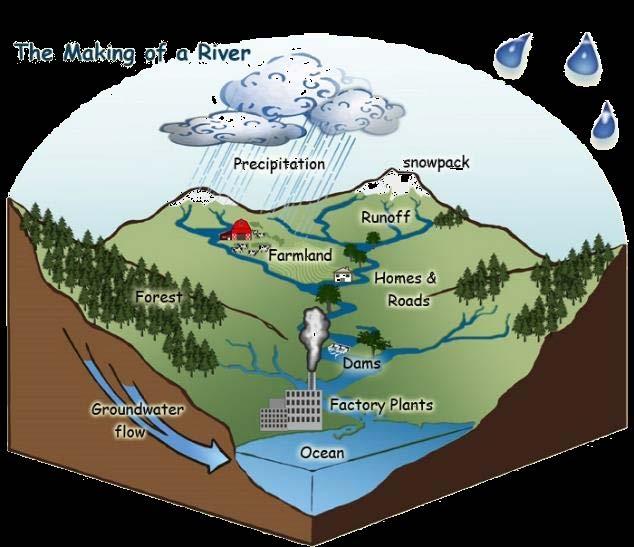 Fact Sheet for Parents and Educators What is a Watershed? A watershed is land that sheds water. Water from rain or snow can flow over the land it falls on.