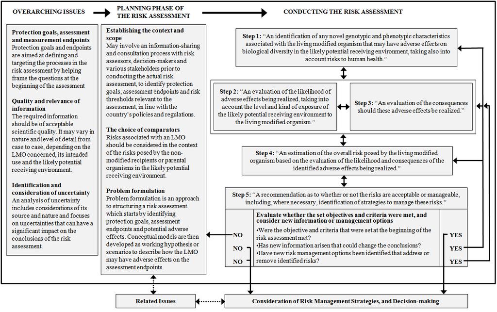 Figure 1. The Roadmap for Risk Assessment.