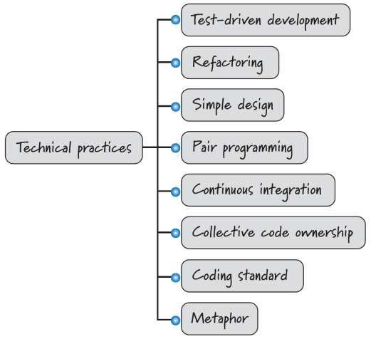 Performing Tasks: Technical Practices Team members should be skilled in agile technical