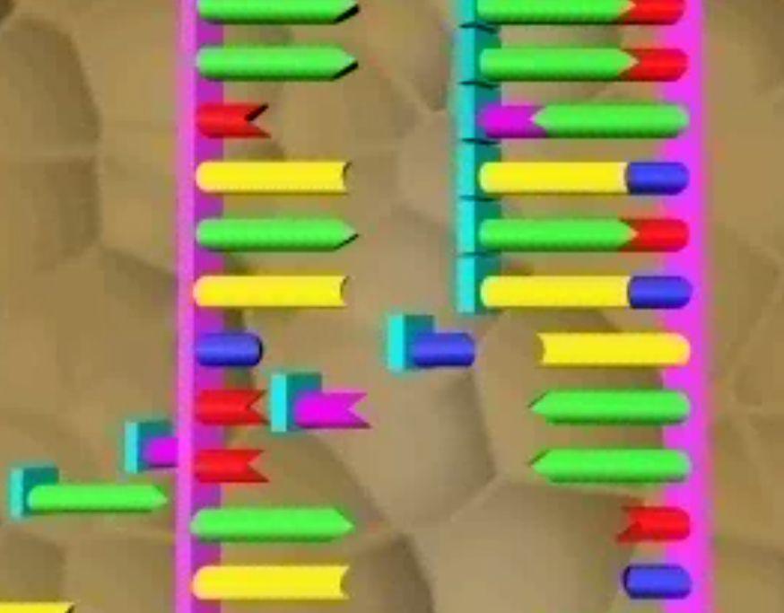 Transcription Transcription steps: 1. DNA double helix unzips 2.