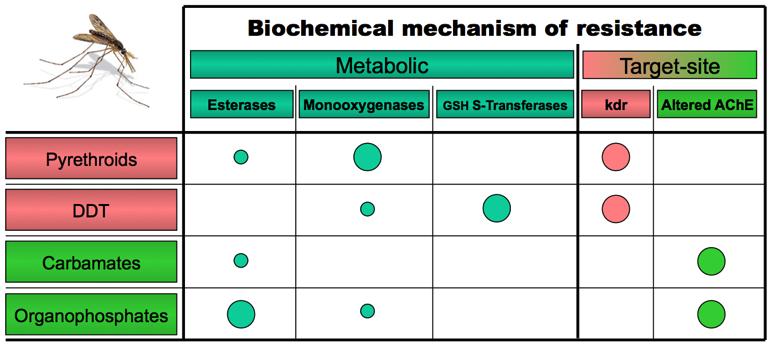 Resistance Mechanisms Circle size reflects the