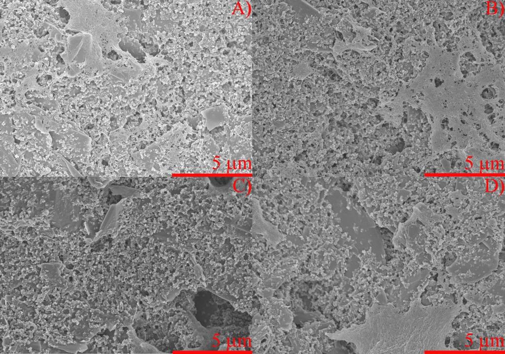 Fig. S10. Scanning electron microscopy images of embedded electrodes after growth of 10 6 and 10 8 PA14 cells on top of 2 mm thick Kings A Agar.
