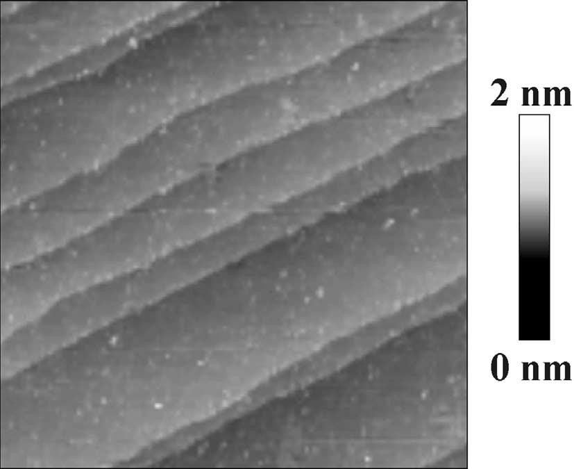 L364 surface, determined by in situ scanning tunneling microscopy STM).