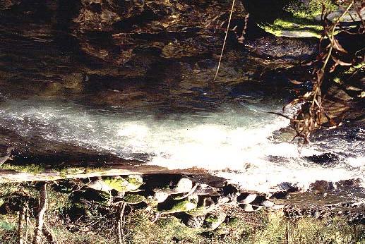 Quartz Creek, September 1993.
