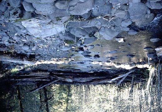 (Structure 19) at Quartz Creek, October, 1988.