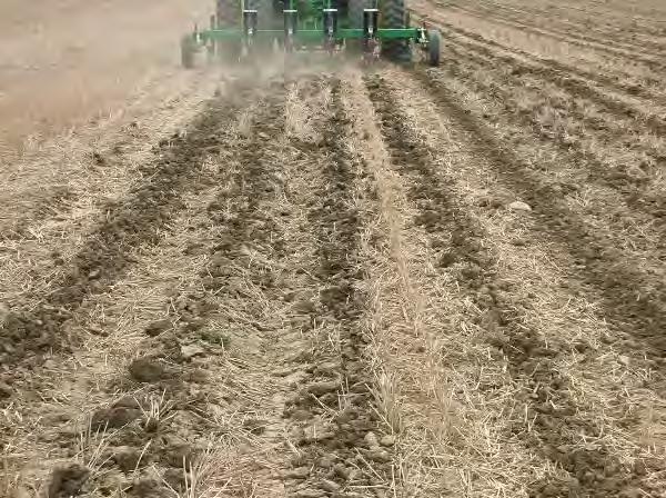 Strip-till Zone-building Vertical tillage Two pass planting systems that vary