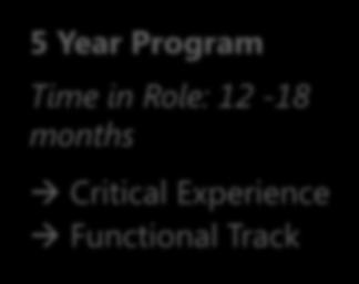 Critical Experience Functional Track Growth Expectations