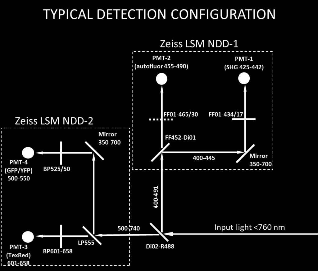 If the image is good press Add in the Correction menu; a Z-coordinate in µm should appear in the position list.